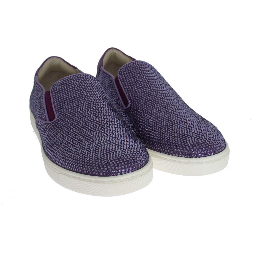 Dolce & Gabbana Purple Canvas Fashion Sneakers
