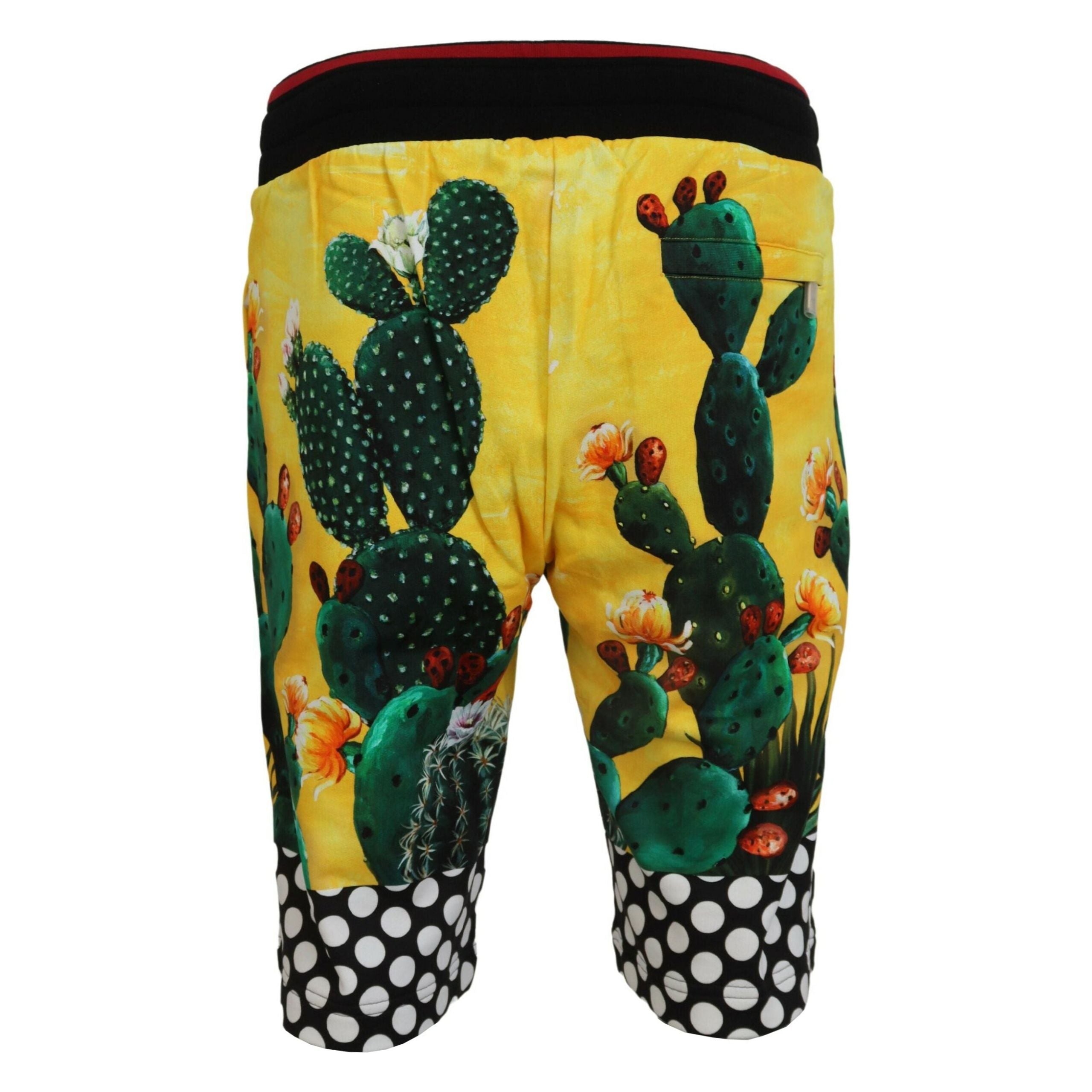 Dolce & Gabbana Multicolor Cotton Sweat Shorts
