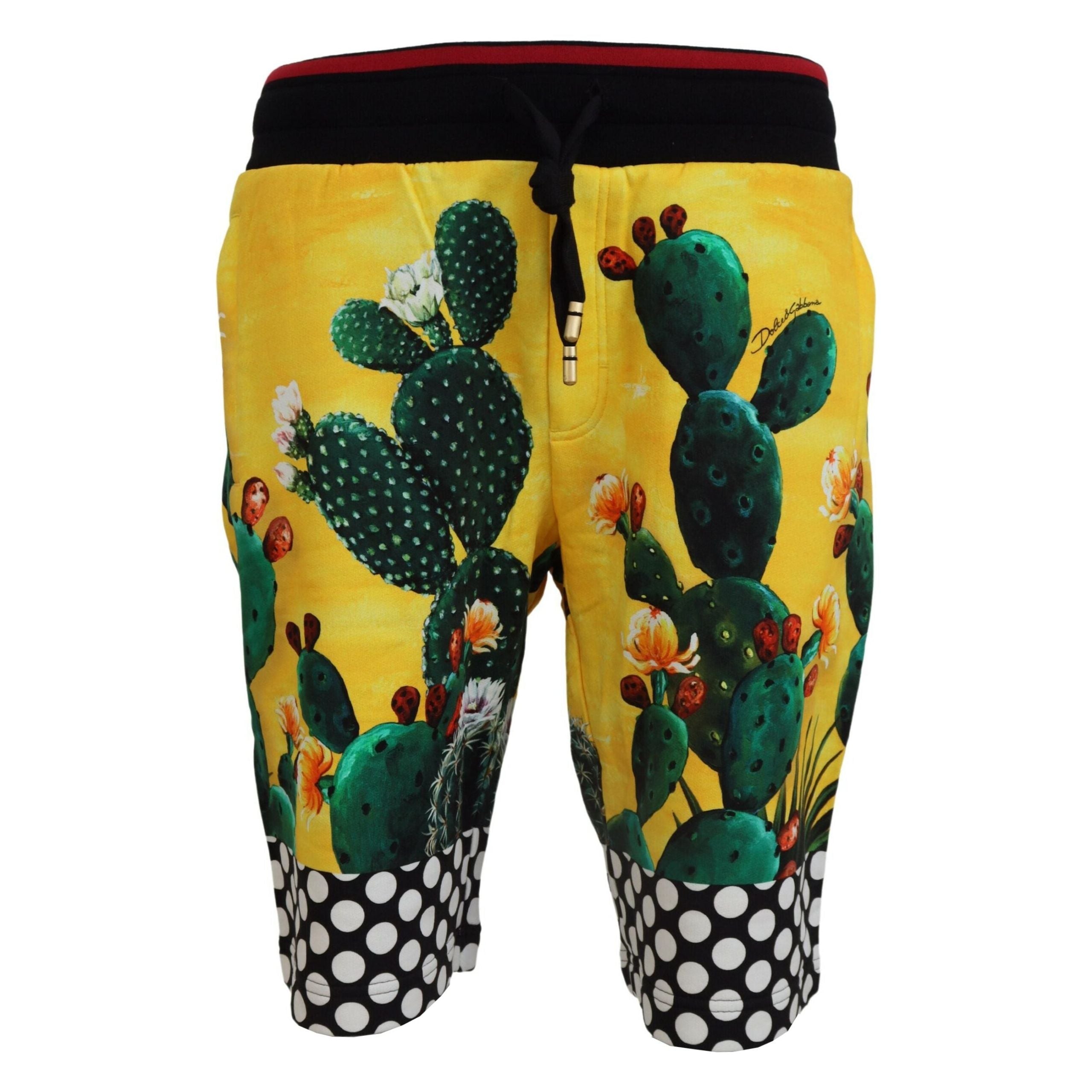 Dolce & Gabbana Multicolor Cotton Sweat Shorts