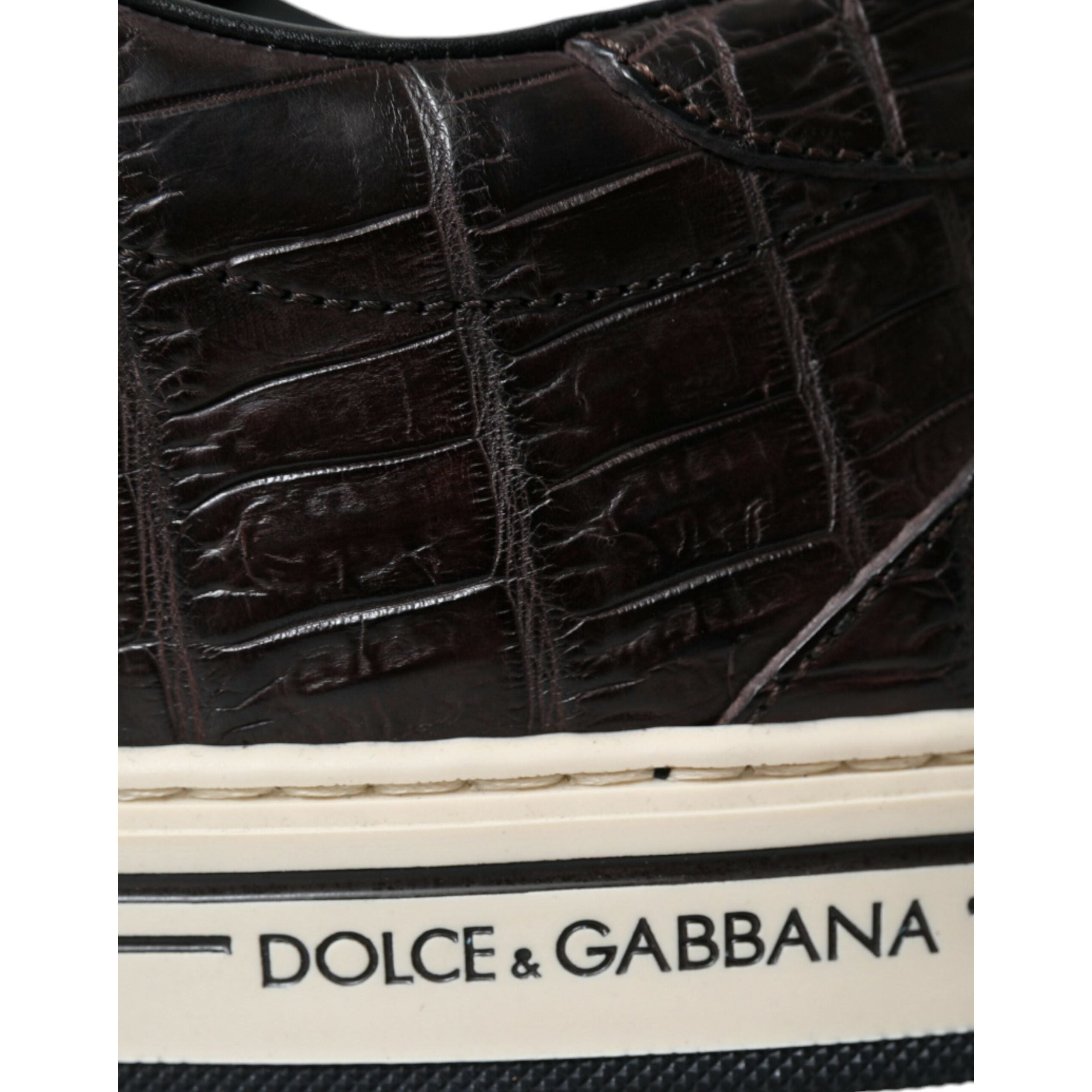 Dolce & Gabbana Brown Exotic Leather Low-Top Sneakers