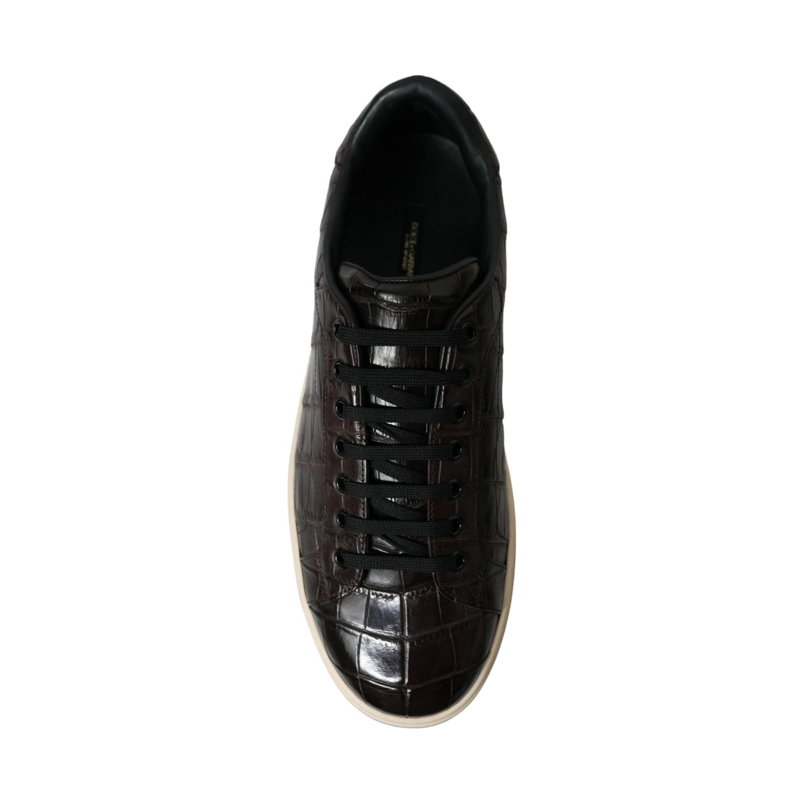 Dolce & Gabbana Brown Exotic Leather Low-Top Sneakers