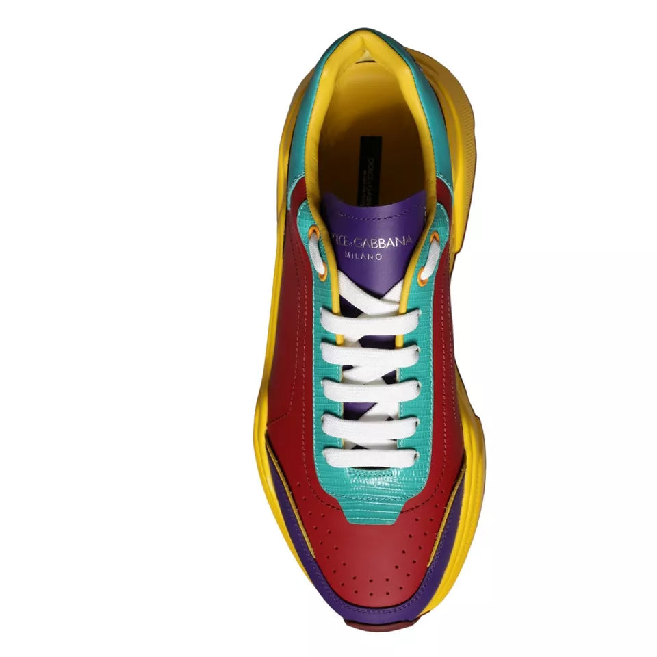 Dolce & Gabbana Multicolor Leather Daymaster Sneakers Shoes