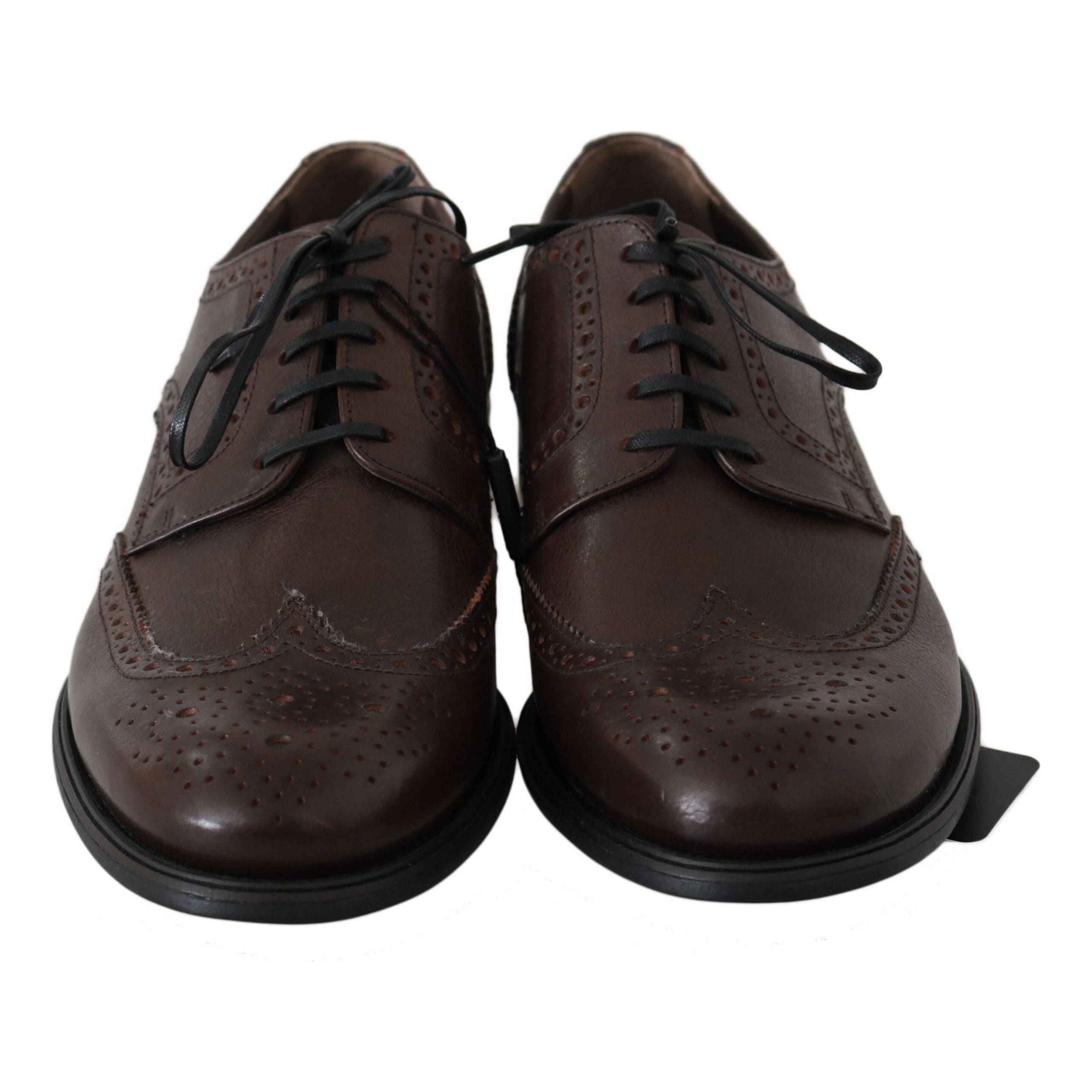 Dolce & Gabbana Brown Leather Derby Brogues Luxe