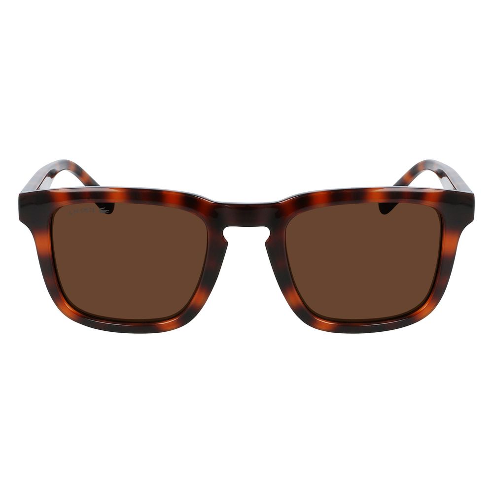 Lacoste Brown Injected Sunglasses for Elevated Style