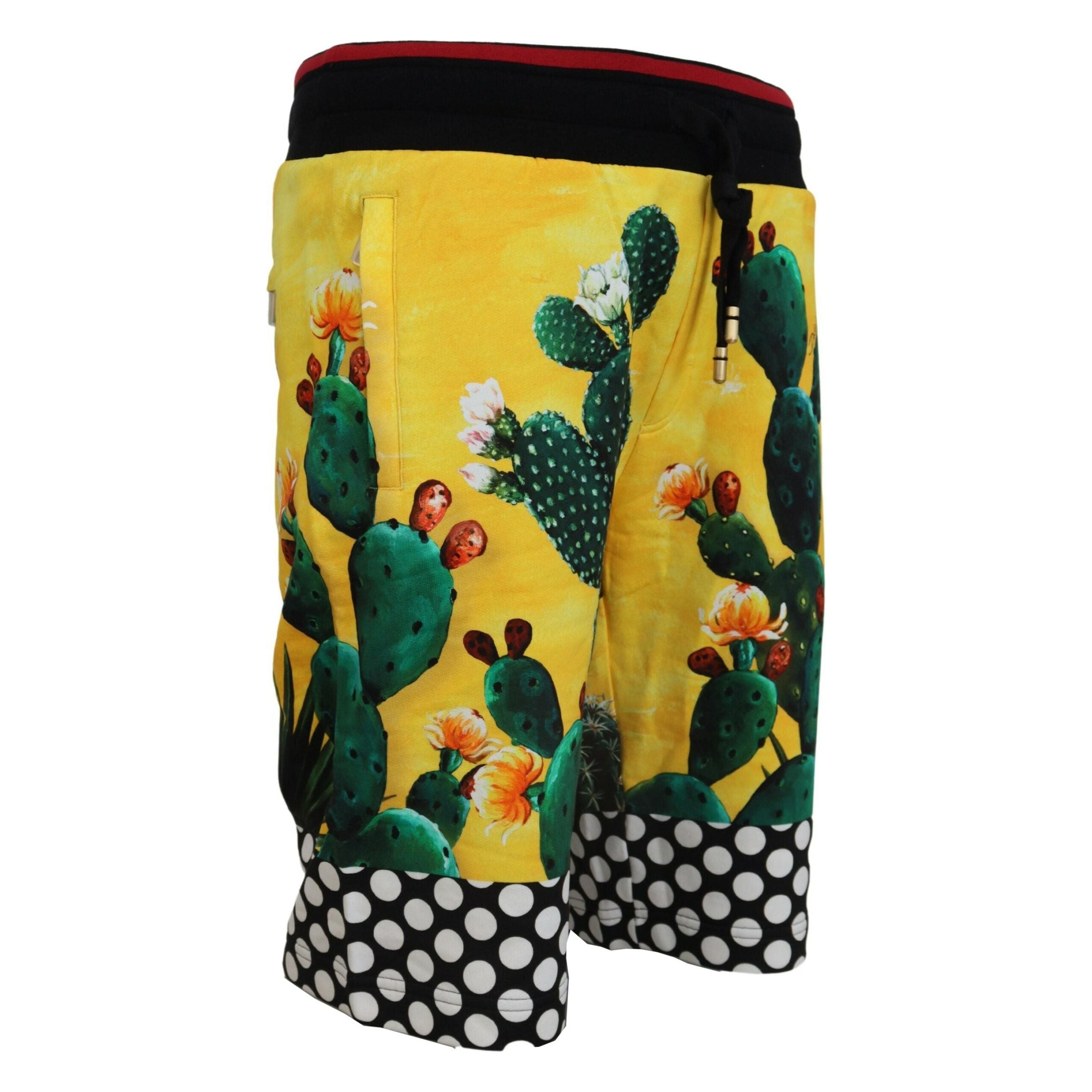 Dolce & Gabbana Multicolor Cotton Sweat Shorts