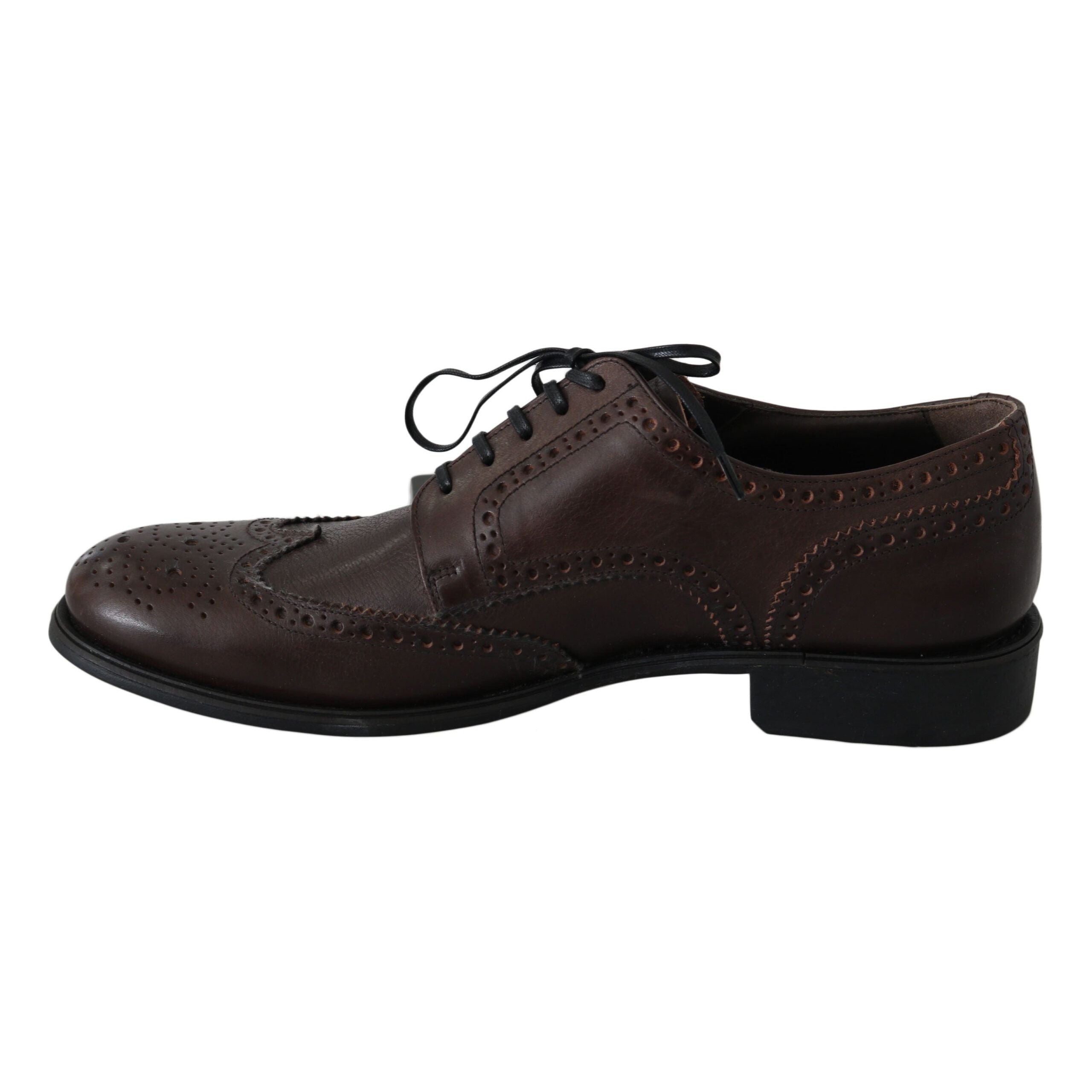 Dolce & Gabbana Brown Leather Derby Brogues Luxe