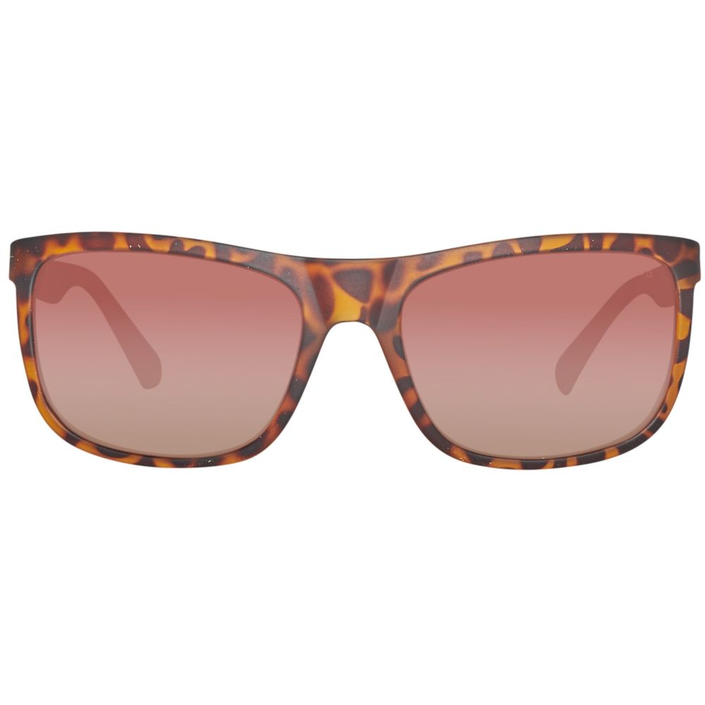 Guess Brown Acetate Sunglasses
