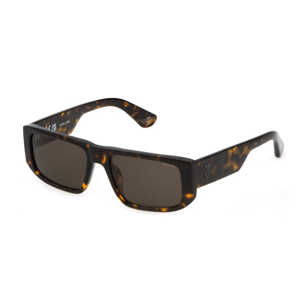 Police Brown Acetate Sunglasses