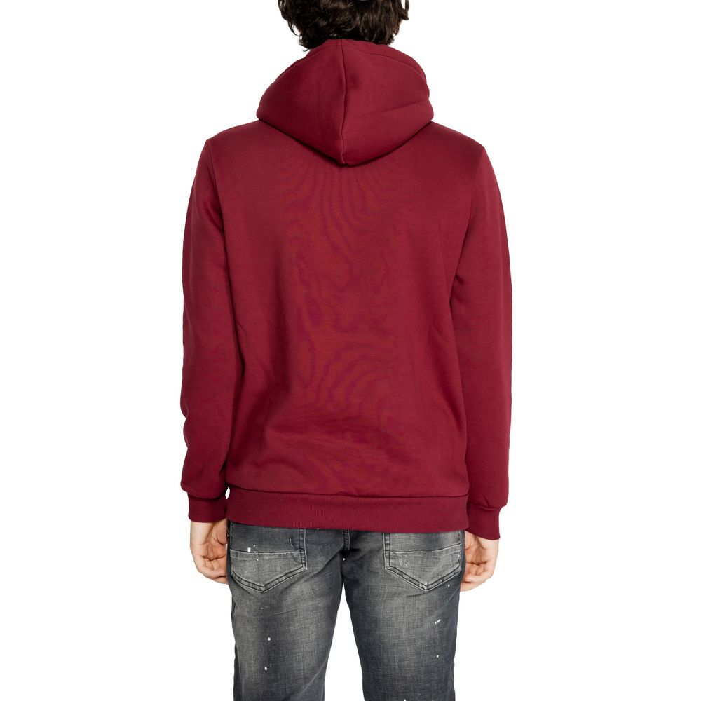 Icon Bordeaux Cotton Sweater for Effortless Luxury Style